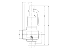 image for 19 FNPT Diagram