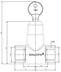 image for Diagram