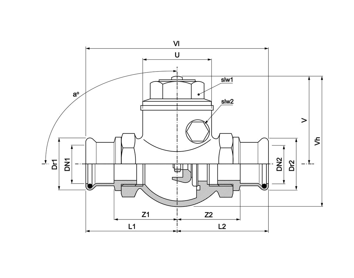 VSH XPress swing check valve