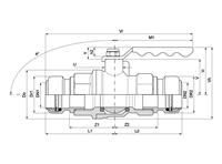 image for Diagram