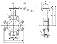 image for SV905