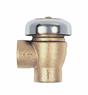 Thumbnail for Apollo Bronze Atmospheric Vacuum Breaker with Polished Bronze Finish (2 x FNPT)