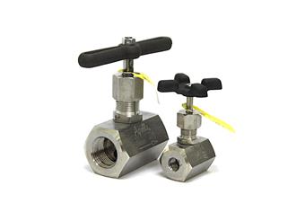 Product Image for Apollo Stainless Steel Barstock Globe Valve with Steel Tee Handle (2 x FNPT)