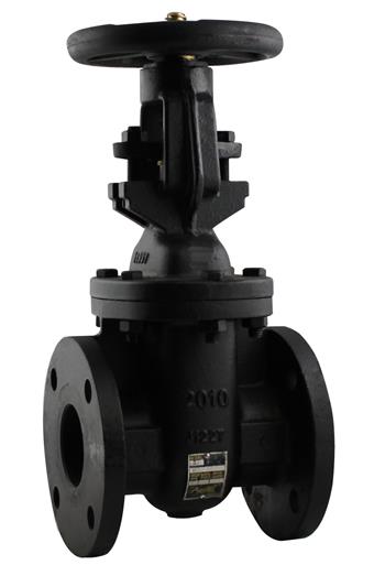 Product Image for Apollo International Lead Free Cast Iron Non-Rising Stem Gate Valve Class 250 (2 x Flange)