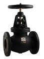 Thumbnail for Apollo International Cast Iron OS&Y Globe Valve Class 250 (2 x Flange)