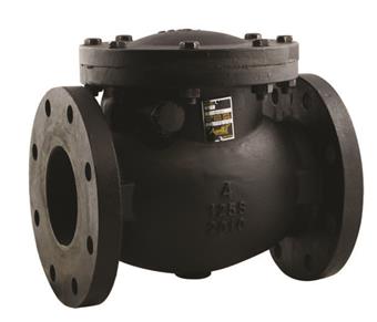 Product Image for Apollo International Cast Iron Swing Check Valve 4" (2 x Flange)