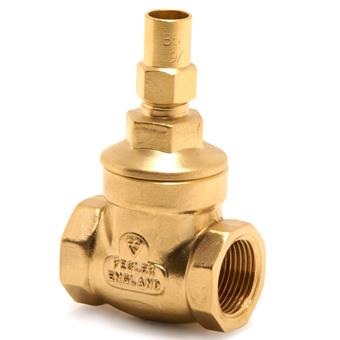 Product Image for Pegler Gate Valve (2 x female thread)