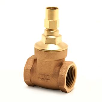 Product Image for Pegler Gate Valve (2 x female thread)