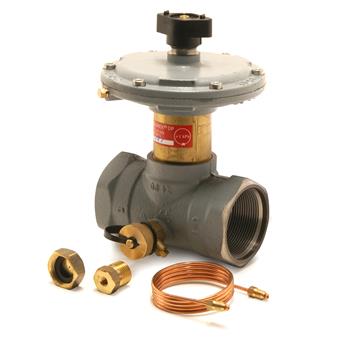 Product Image for Pegler Proflow delta with drain (20-65 kPa) FF Rp2" (DN50)