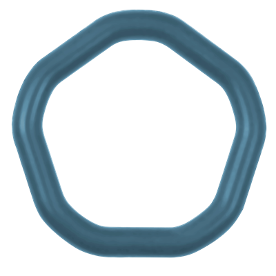 Product Image for VSH SmartPress O-ring FPM