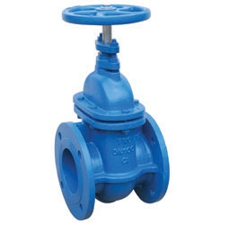 Product Image for Pegler Valve Gate Valve Flange   DN200